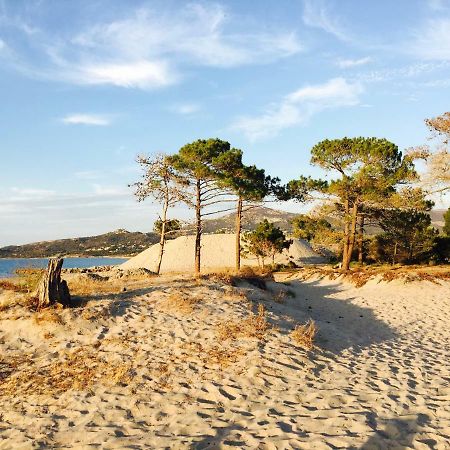Camping Dolce Vita Calvi  Zewnętrze zdjęcie