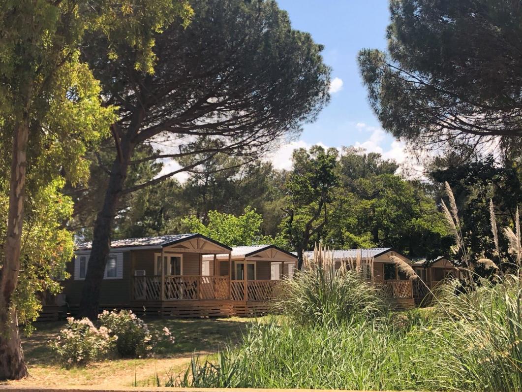 Camping Dolce Vita Calvi  Zewnętrze zdjęcie