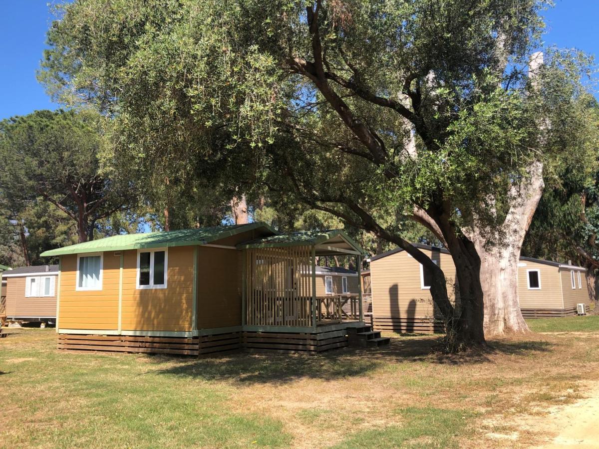 Camping Dolce Vita Calvi  Zewnętrze zdjęcie