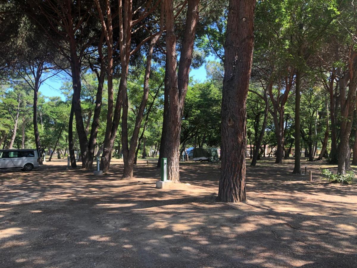 Camping Dolce Vita Calvi  Zewnętrze zdjęcie