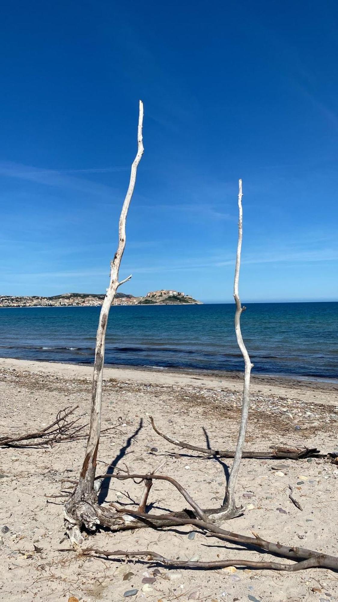 Camping Dolce Vita Calvi  Zewnętrze zdjęcie