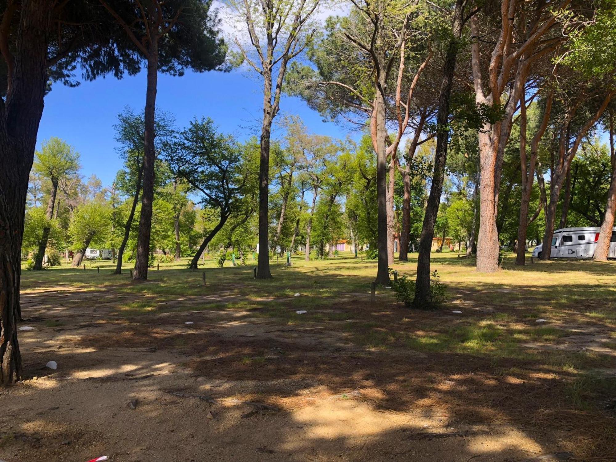 Camping Dolce Vita Calvi  Zewnętrze zdjęcie