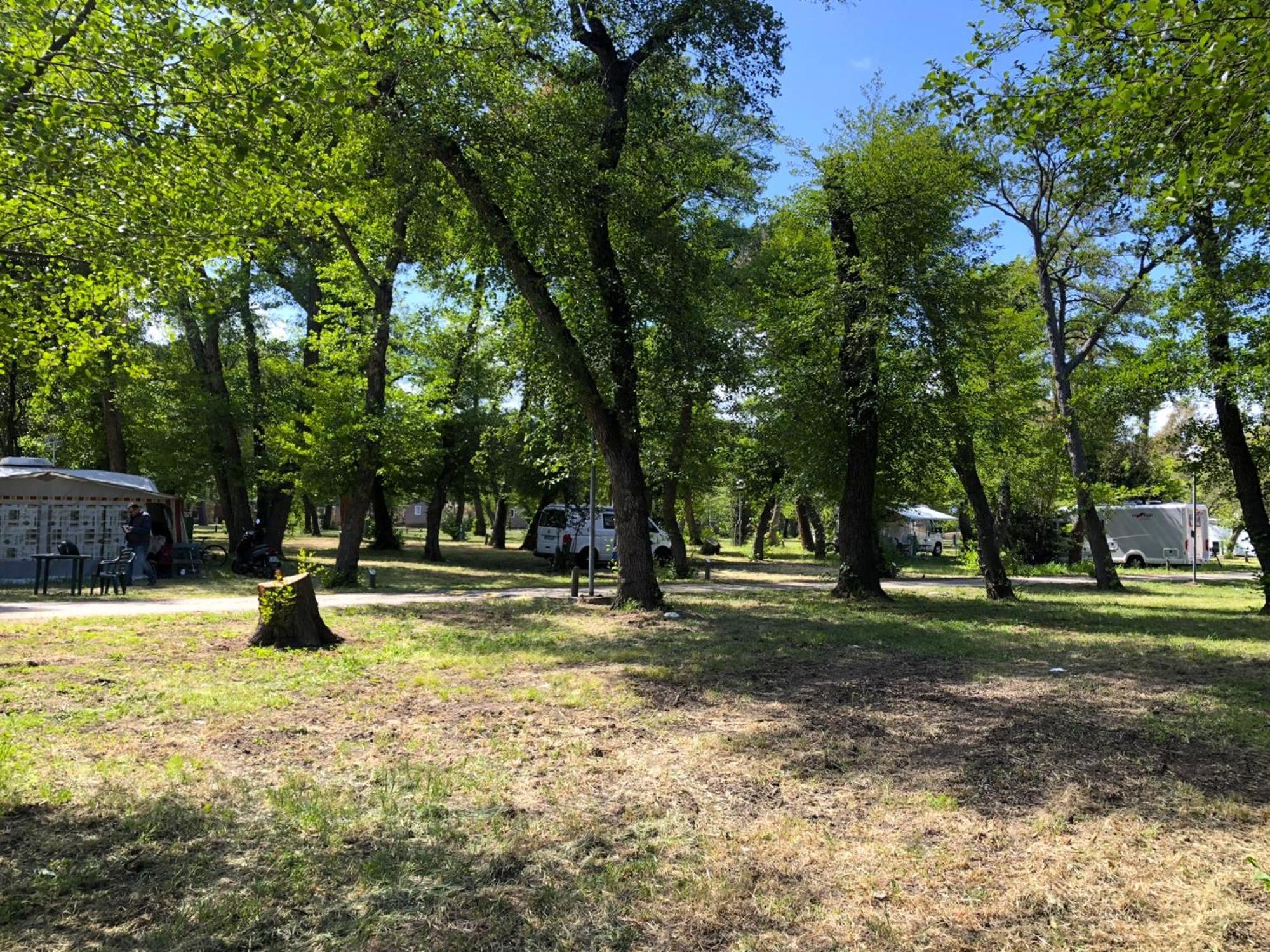 Camping Dolce Vita Calvi  Zewnętrze zdjęcie