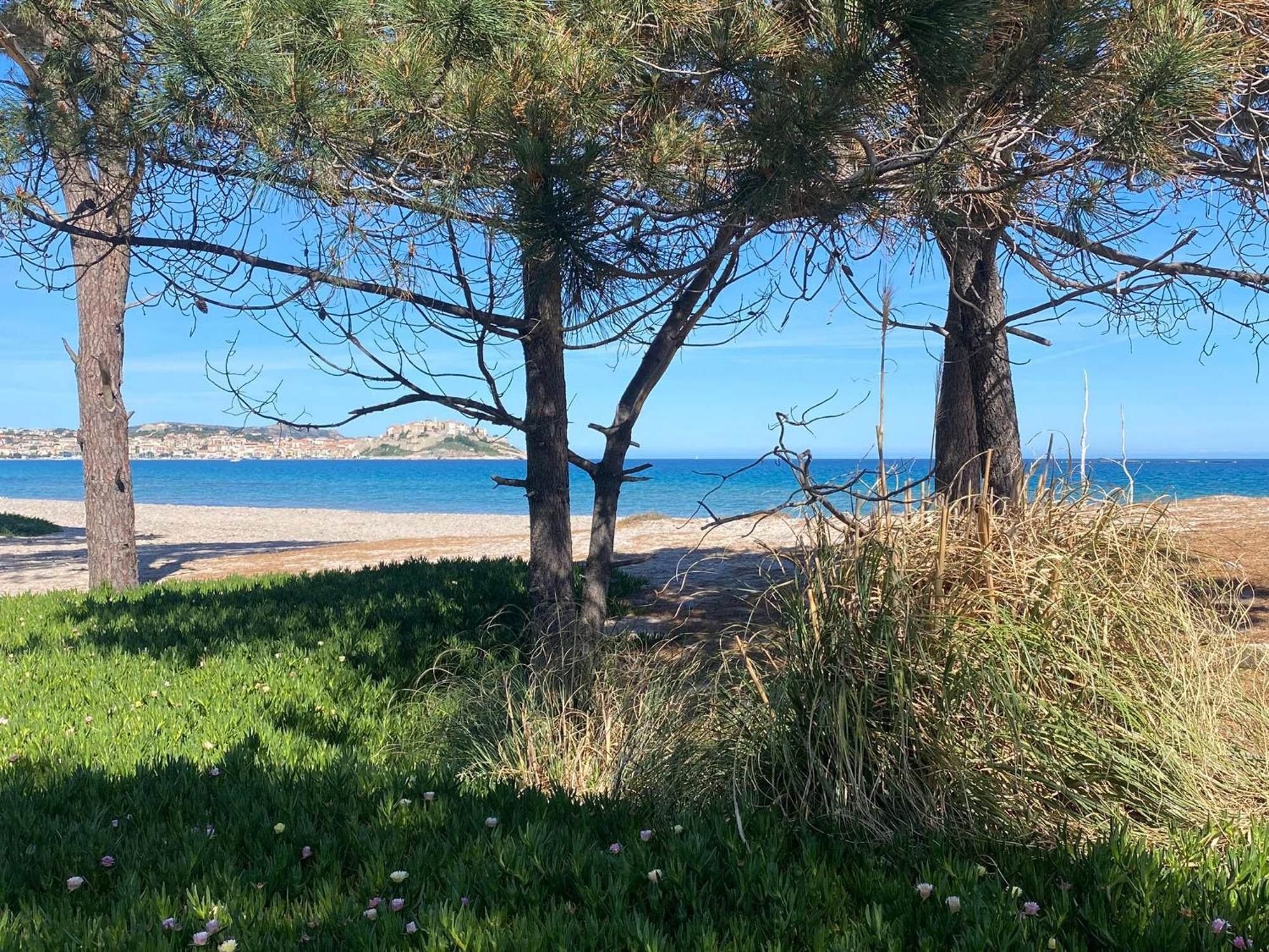 Camping Dolce Vita Calvi  Zewnętrze zdjęcie