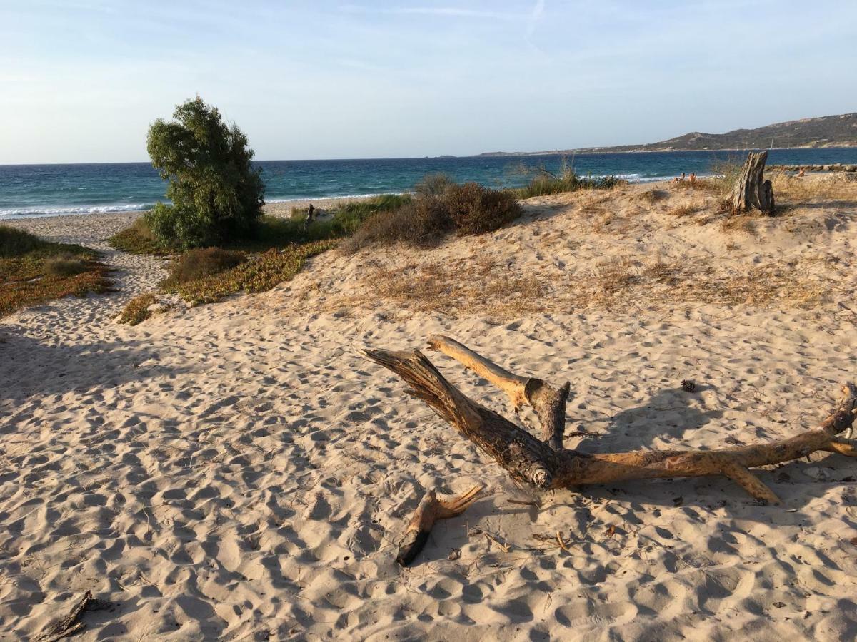 Camping Dolce Vita Calvi  Zewnętrze zdjęcie